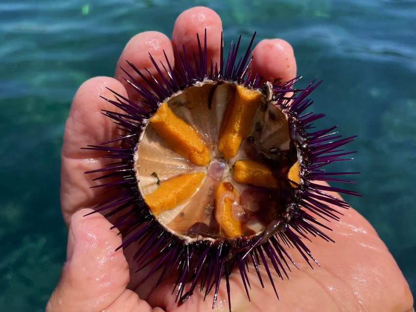 Procida: Boat Tour with Swimming Stops and Underwater Photos - Punta Pioppeto Lighthouse: The Landmark Moment You’ll Remember