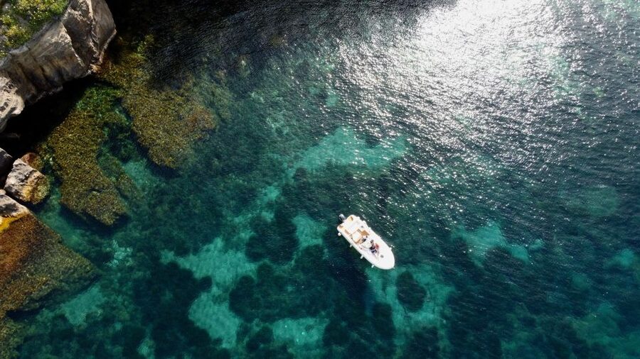 Procida: Boat Tour with Swimming Stops and Underwater Photos - Price and Value: Why $53 Can Work