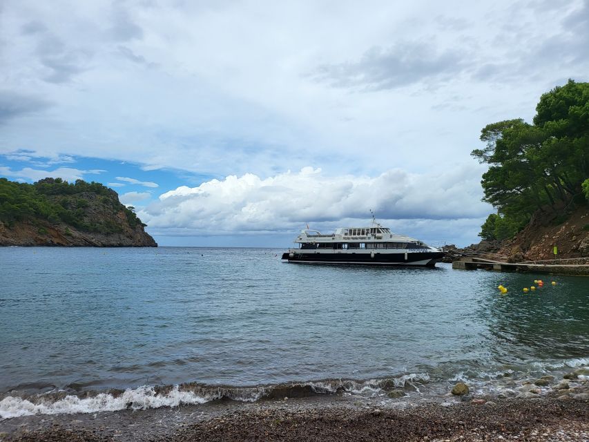 Puerto de Sóller: Cala Tuent Return Boat Trip - Key highlights at a glance