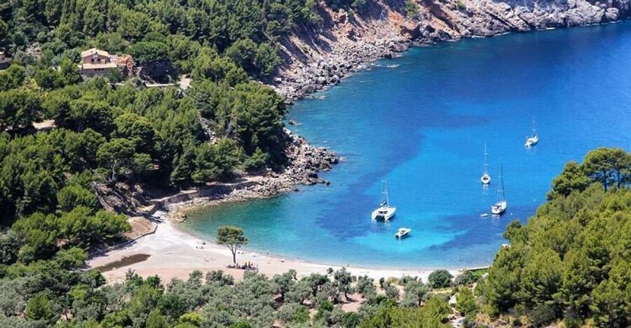 Puerto de Sóller: Cala Tuent Return Boat Trip - Leaving Puerto de Sóller: where your day really starts