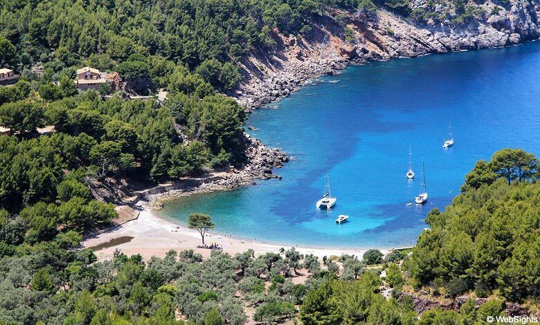 Puerto de Sóller: Cala Tuent Return Boat Trip - The boat ride to Cala Tuent: simple, scenic, and on schedule