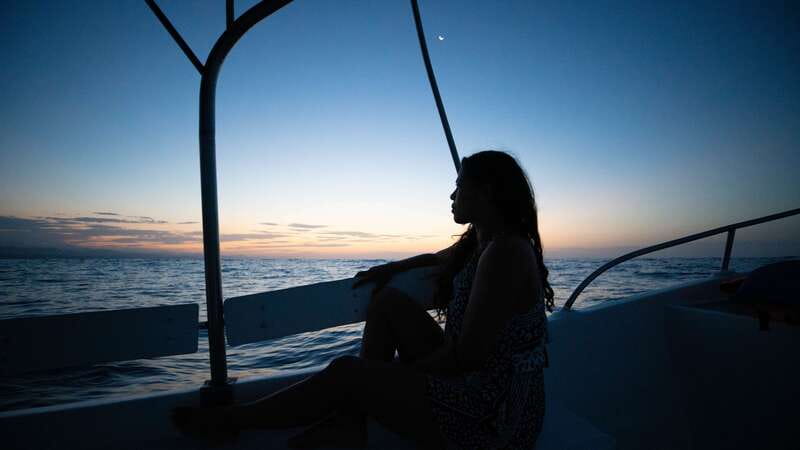 Puerto Escondido: Boat Tour among Dolphins and Turtles - Key moments that make this tour work