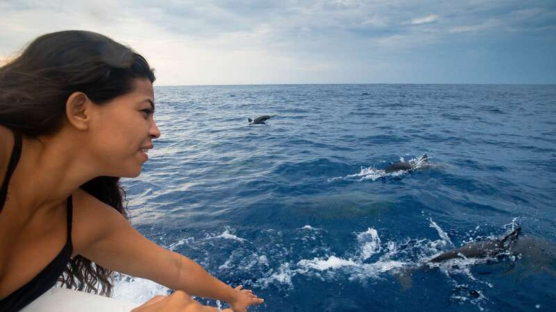 Puerto Escondido: Boat Tour among Dolphins and Turtles - Why a 7:00 AM dolphin-and-turtle cruise is worth getting up for