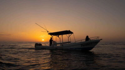 Puerto Escondido: Boat Tour among Dolphins and Turtles - Getting to the beach: pickup at your hotel in Puerto Escondido