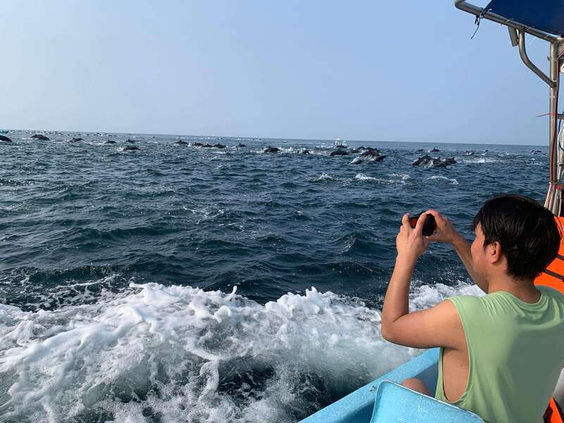 Puerto Escondido: Boat Tour to see Dolphins and Marine Life - How the Puerto Angelito boat tour really works