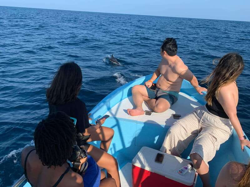 Puerto Escondido: Boat Tour to see Dolphins and Marine Life - Dolphin watching that feels real, not staged