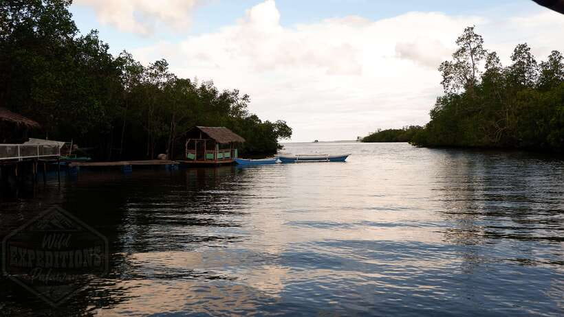 Puerto Princesa: Firefly Watching Paddle Boat Tour & Dinner - Paddle Boat Firefly Watching on the Riverbanks