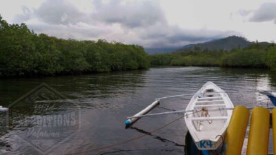 Puerto Princesa: Firefly Watching Paddle Boat Tour & Dinner - The Quick Boat Hop to the Sicsican River