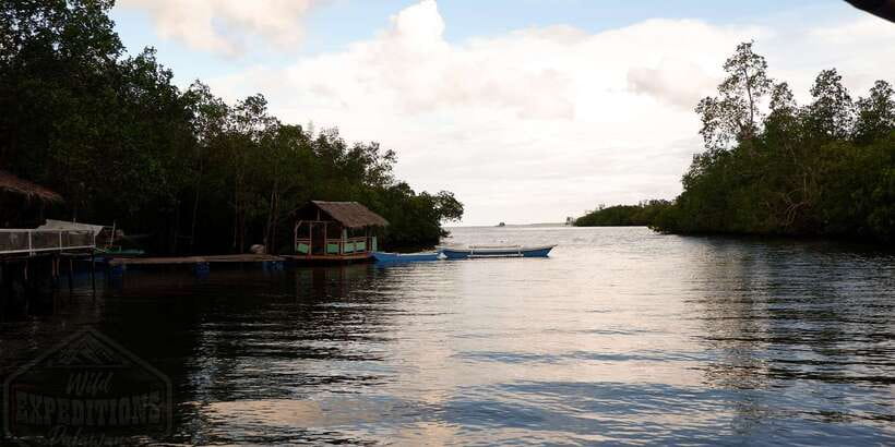 Puerto Princesa: Firefly Watching Paddle Boat Tour & Dinner - When to Go: Best Firefly Season in Puerto Princesa
