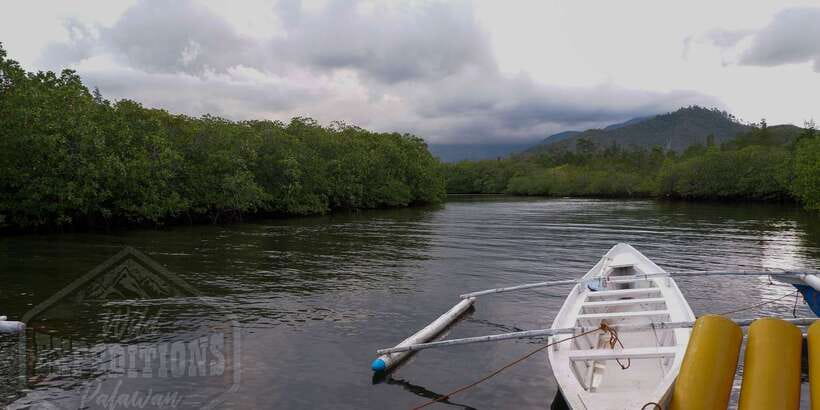 Puerto Princesa: Firefly Watching Paddle Boat Tour & Dinner - What to Bring (So the Night Stays Comfortable)