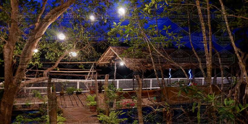 Puerto Princesa: Firefly Watching Paddle Boat Tour & Dinner - Price and Value: Is $27 a Good Deal?