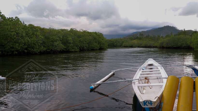 Puerto Princesa: Firefly Watching Paddle Boat Tour & Dinner - The Quick Boat Hop to the Sicsican River
