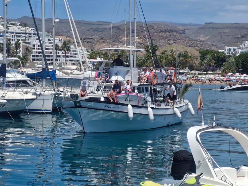 Puerto Rico, Gran Canaria: boat trip, drinks, food, paddle surfing, snorkeling - Best-fit travelers: who will enjoy this most