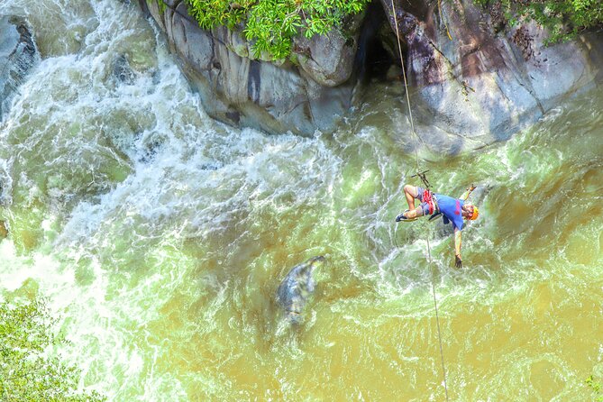 Puerto Vallarta Best Zipline Canopy + Tequila and Speed Boat Ride - Animal sanctuary time: small menagerie, real wildlife curiosity