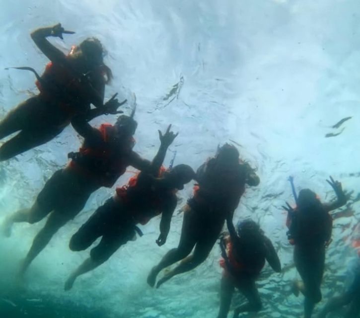 Puerto Vallarta: Los Arcos Islands Boat Tour and Snorkeling - Wildlife you can realistically hope to see