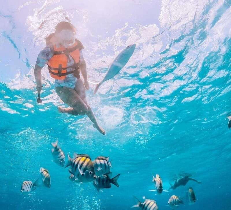 Puerto Vallarta: Los Arcos Islands Boat Tour and Snorkeling - Price and value: why $47 can work out well here