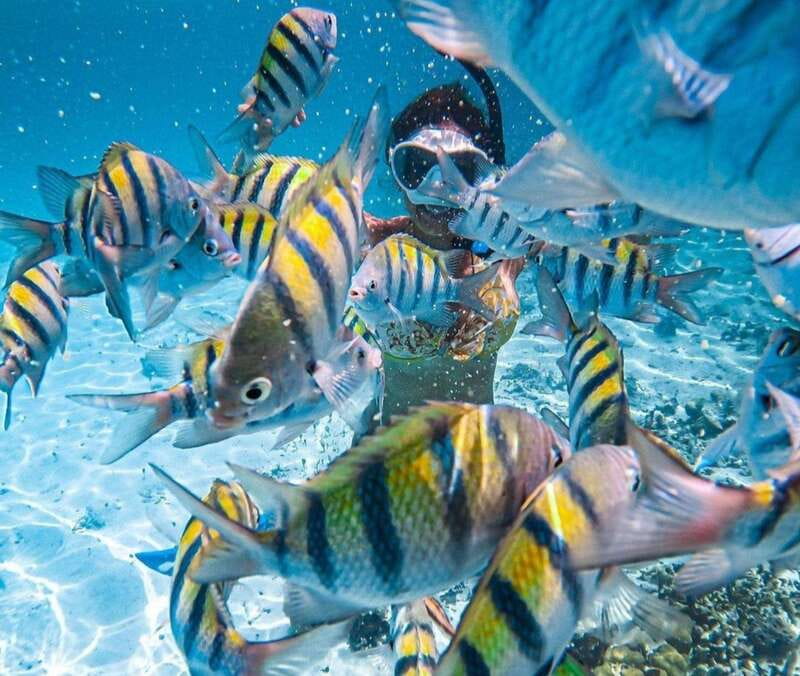 Puerto Vallarta: Los Arcos Islands Boat Tour and Snorkeling - The OXXO meeting point: the one logistics detail you can’t mess up