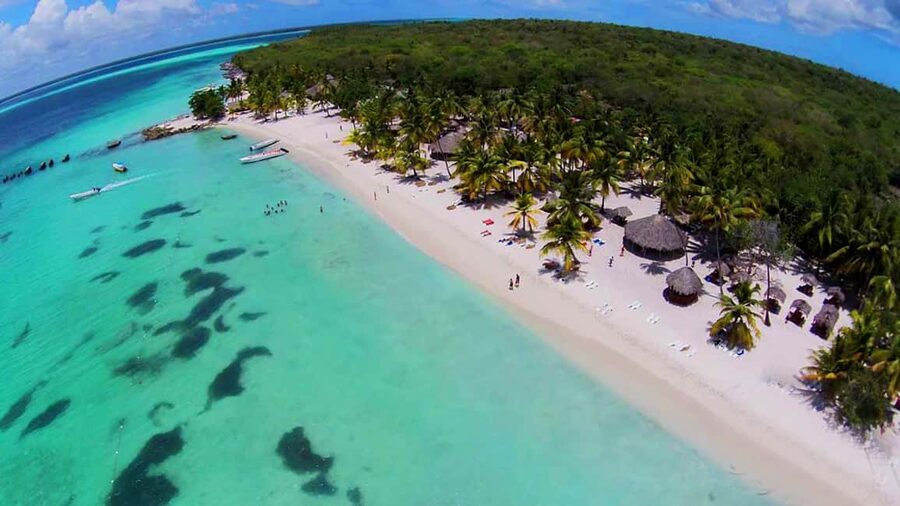 Punta Cana: Saona Island Full-Day All-Inclusive Boat Tour - What to Bring, What to Skip, and Who Should Pass