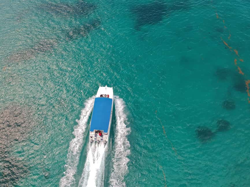 Punta Cana: Saona Island Full-Day All-Inclusive Boat Tour - Saona Island Beach Time: White Sand Hours (Not a Drive-By)