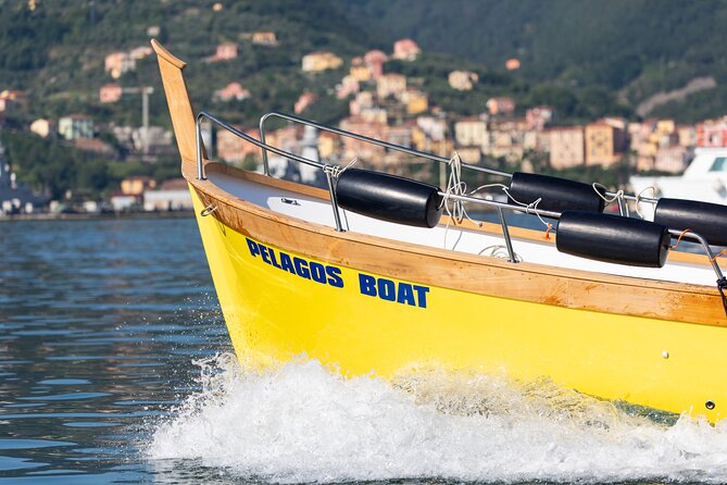 Relaxing Boat Tour with Aperitif in Cinque Terre - A Swim Stop With Snorkel Gear: Jellyfish and Cold Water Reality