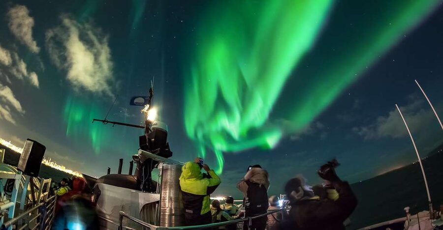 Reykjavik: Northern Lights Guided Boat Tour - Key highlights worth planning around