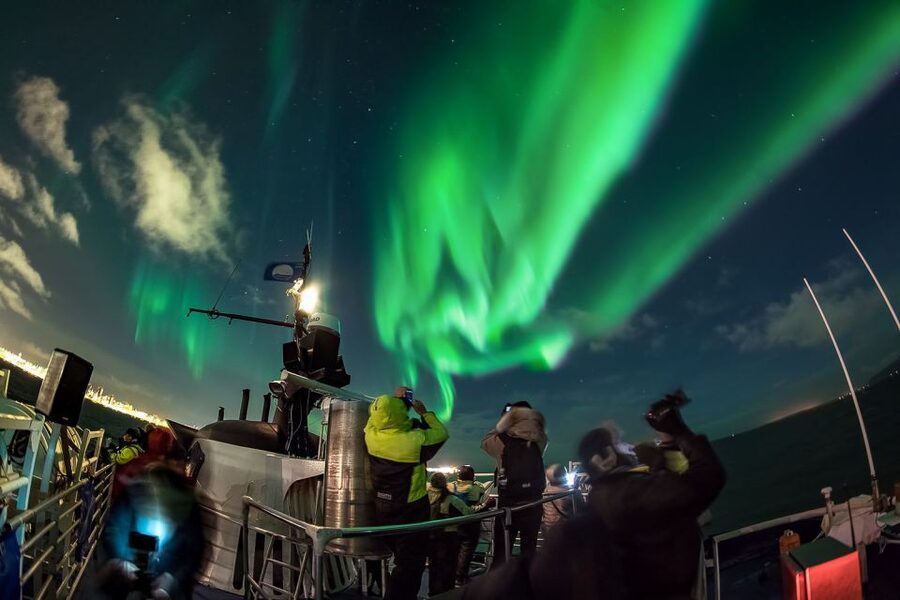 Reykjavik: Northern Lights Guided Boat Tour - The Aurora Hunting Game Plan: Time, Timing, and Eyes