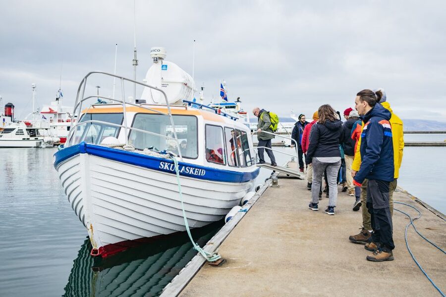 Reykjavik: Puffin Watching Boat Tour - FAQ