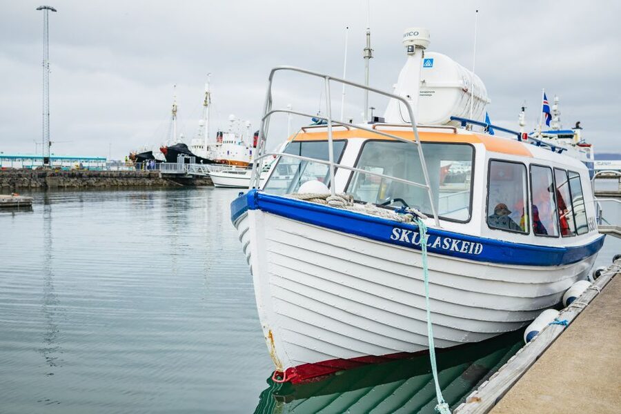 Reykjavik: Puffin Watching Boat Tour - Comfort and sound on the water: bumpy waves, wind, and motion sickness