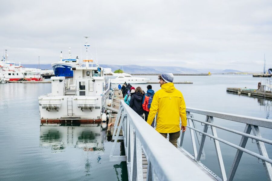 Reykjavik: Puffin Watching Boat Tour - Price and value: is $64 fair for an hour of puffins