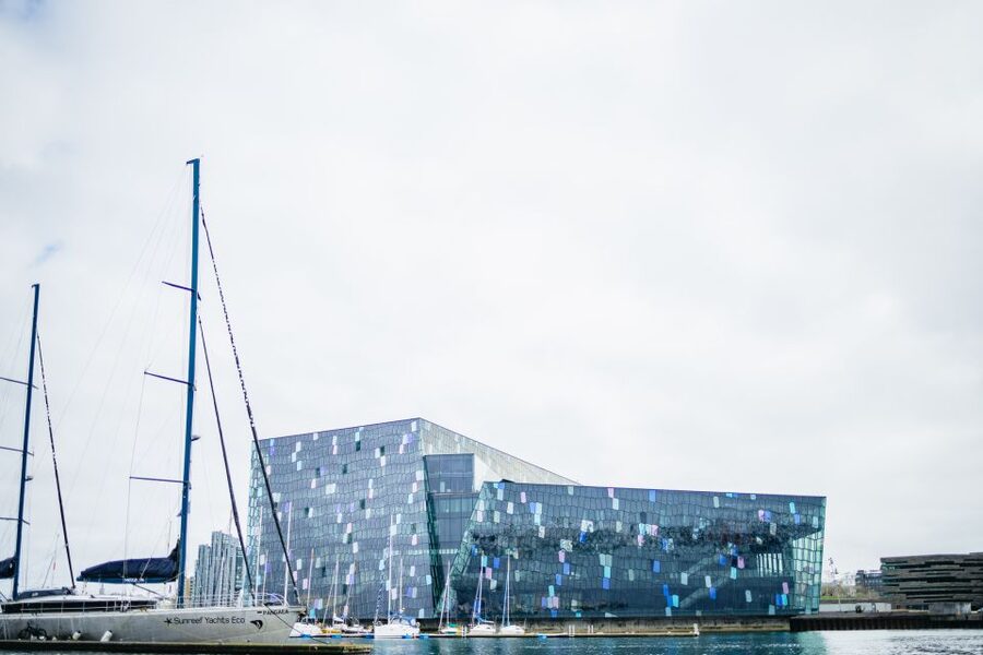 Reykjavik: Puffin Watching Boat Tour - Who should book this puffin boat tour (and who should think twice)