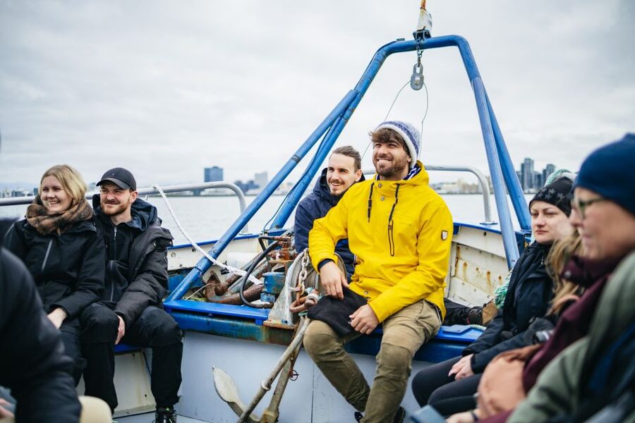 Reykjavik: Puffin Watching Boat Tour - Should you book the Reykjavik Puffin Express?