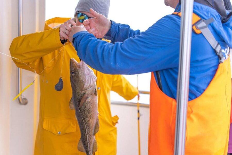 Reykjavik: Sea Fishing Boat Tour & BBQ with the Day's Catch - Key takeaways before you buy