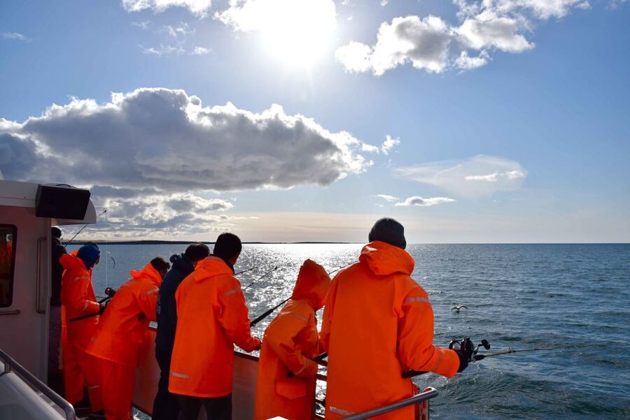 Reykjavik: Sea Fishing Boat Tour & BBQ with the Day's Catch - Who should book this (and who should skip it)