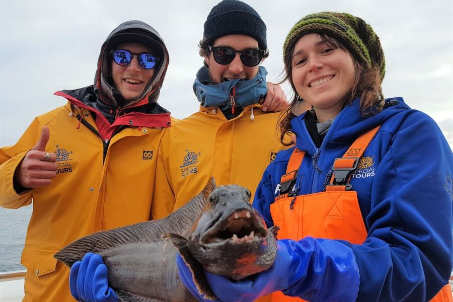 Reykjavik: Sea Fishing Boat Tour & BBQ with the Day's Catch - The onboard BBQ: potatoes, fresh fish, and small seasoning notes