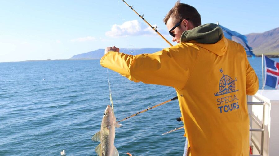 Reykjavik: Sea Fishing Boat Tour & BBQ with the Day's Catch - Guides and crew: where the experience goes from okay to memorable