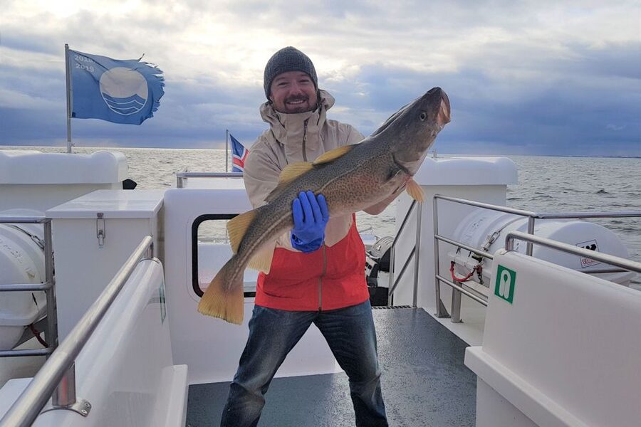 Reykjavik: Sea Fishing Boat Tour & BBQ with the Day's Catch - Price and value: is $141 fair for what you get?