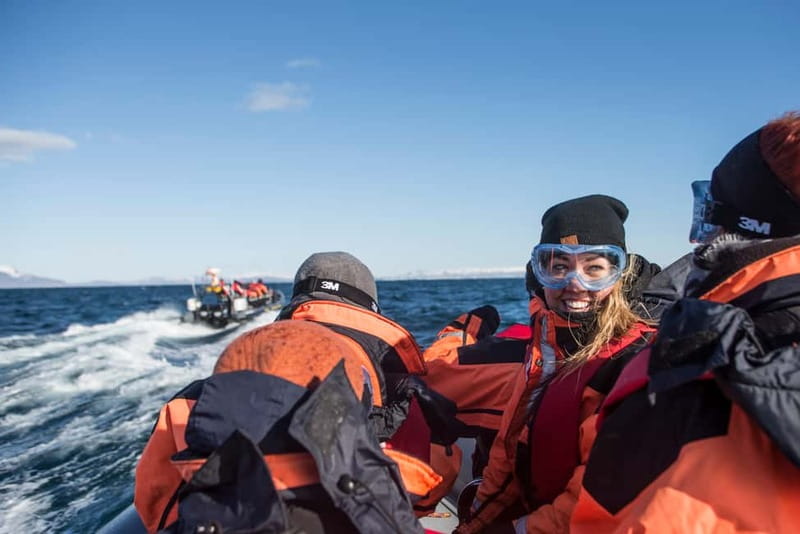 Reykjavik: Whale and Puffin Watching RIB Boat Tour - Why a RIB Changes Your Whale-Watching Odds (Close Is the Whole Point)