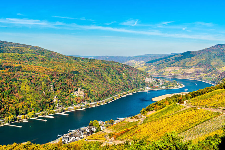 Rhine Valley Castles: 1.5-Hour Boat Tour from Rüdesheim - Quick take: what makes this Rhine castles cruise worth it