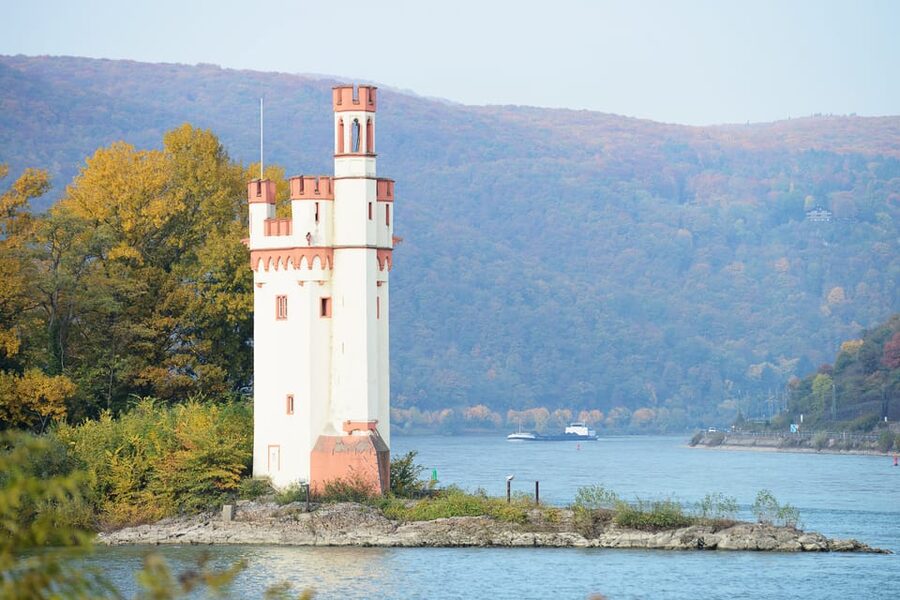 Rhine Valley Castles: 1.5-Hour Boat Tour from Rüdesheim - Who should book this Rhine Valley Castles cruise