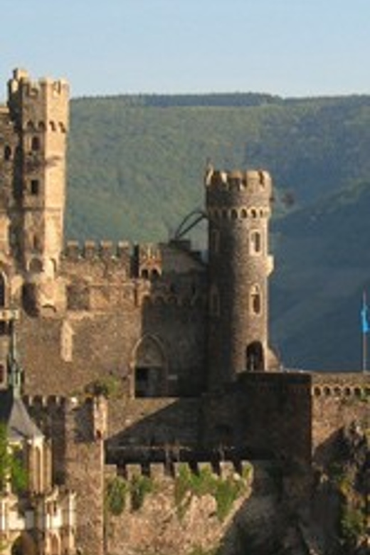 Rhine Valley Castles: 1.5-Hour Boat Tour from Rüdesheim - How the 1.5-hour Rhine cruise from Rüdesheim really feels