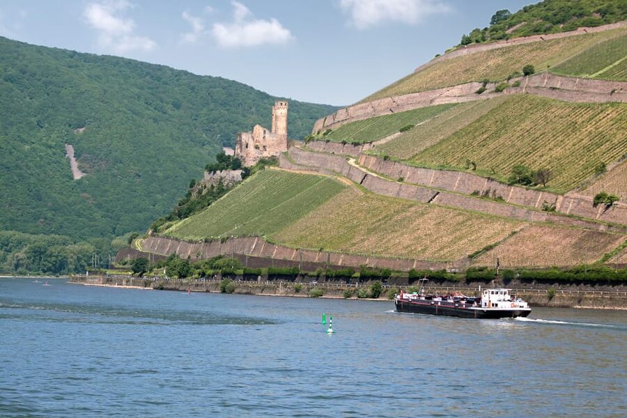 Rhine Valley Castles: 1.5-Hour Boat Tour from Rüdesheim - Food and drinks: good to have, but plan for cash