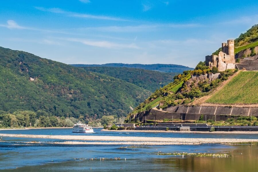 Rhine Valley Castles: 1.5-Hour Boat Tour from Rüdesheim - Price and value: why $19 can work (or not)