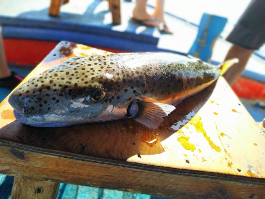 Rhodes Town: Fishing Boat Trip with Fish Meal and Swim Stops - Key things I’d plan around