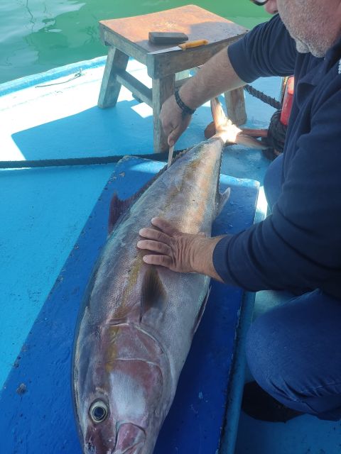 Rhodes Town: Fishing Boat Trip with Fish Meal and Swim Stops - Fishing lessons that actually help you catch something