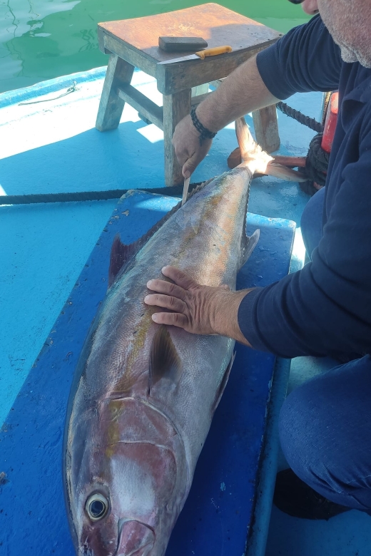 Rhodes Town: Fishing Boat Trip with Fish Meal and Swim Stops - Who this trip is best for