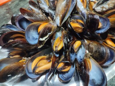 Ría de Arousa: Boat Ride to Mussel Farm with Tasting - From O Grove to the Ría: how the boat ride sets the tone