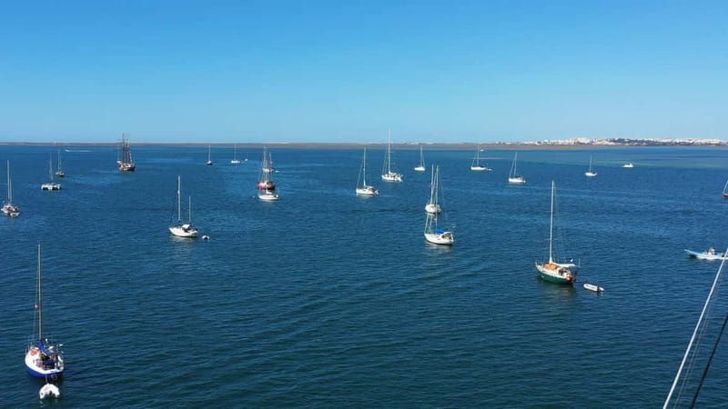 Ria Formosa: Armona and Culatra Islands 3-Hour Boat Tour - The Ria Formosa: why this boat trip feels like a shortcut to the real Algarve