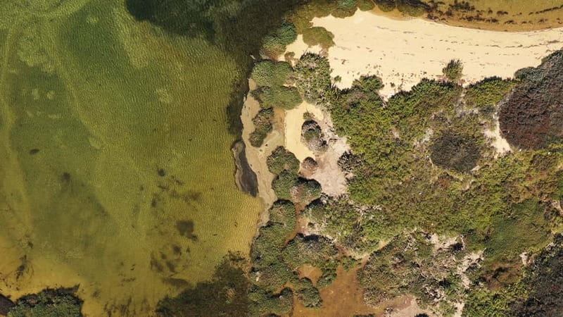 Ria Formosa: Armona and Culatra Islands 3-Hour Boat Tour - Culatra Island: no cars, oyster work, and a slower kind of day
