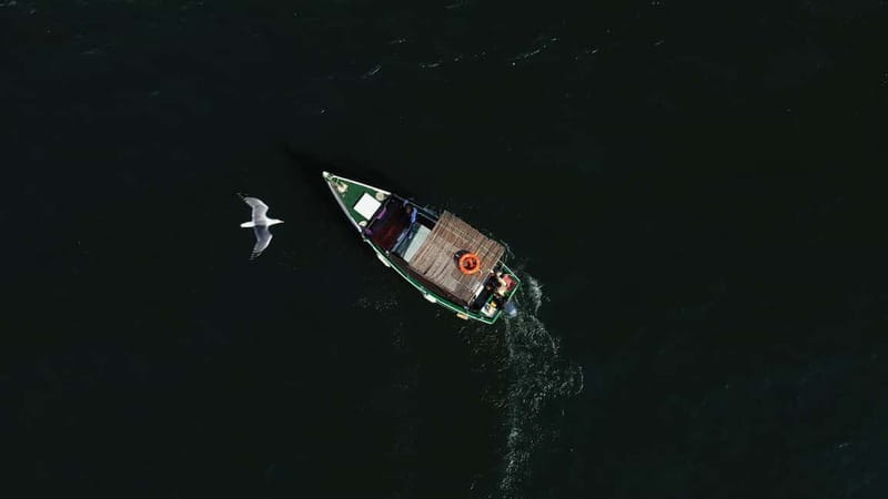 Ria Formosa: Armona and Culatra Islands 3-Hour Boat Tour - Armona Island: serenity, beaches, and the easiest place to slow down