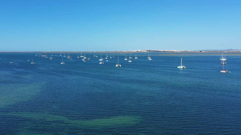 Ria Formosa: Armona and Culatra Islands 3-Hour Boat Tour - The boat and the crew: why small-group comfort matters here
